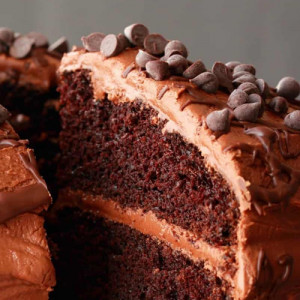 Bakers Choice Chocolate Sponge