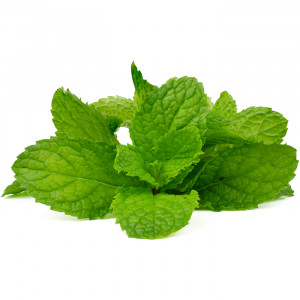 Peppermint Essence 
